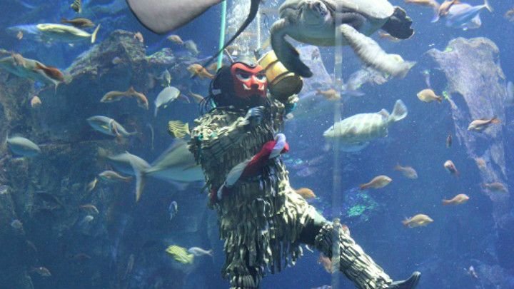 🐠 오가 수족관 가오 (男鹿水族館GAO) 이미지 9